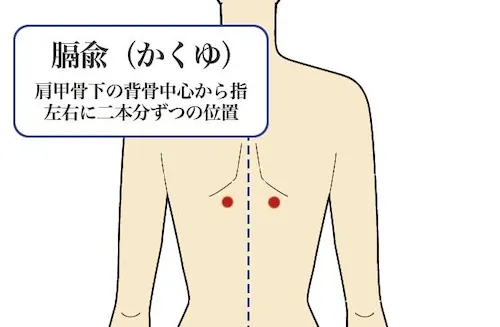 膈兪(かくゆ)の画像