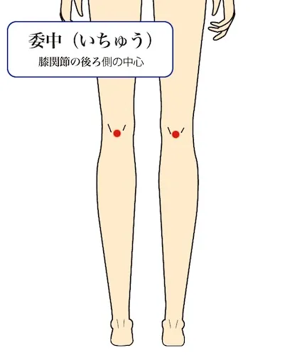 委中の画像