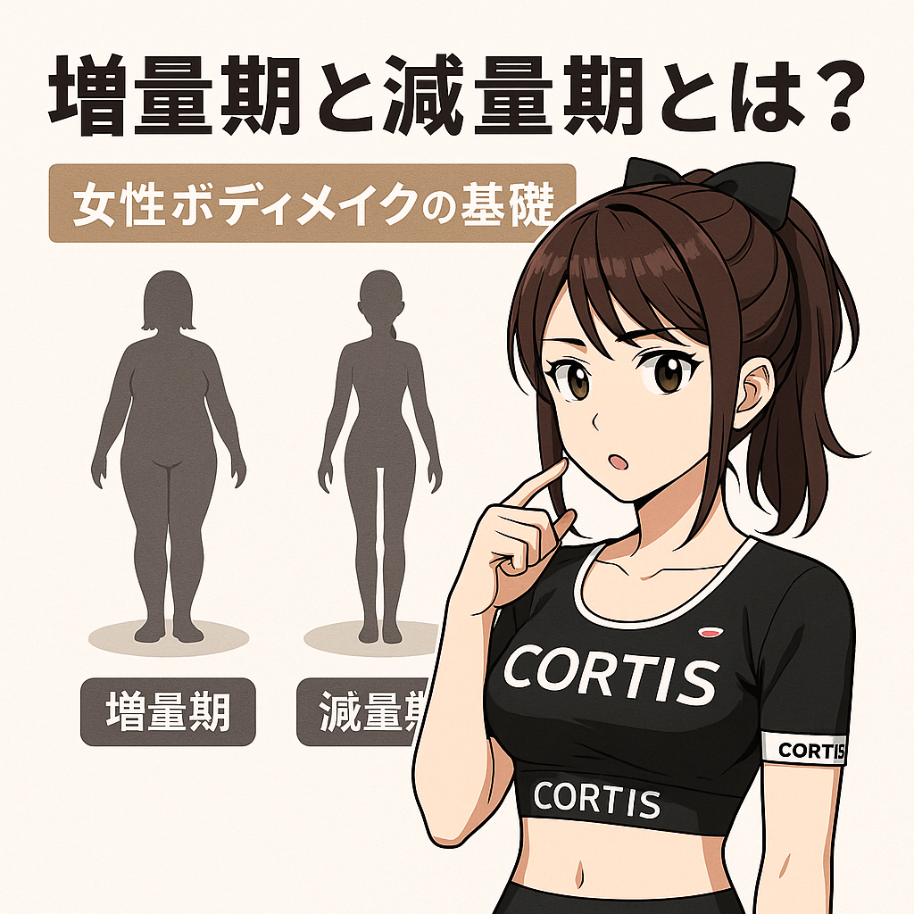 増量期と減量期のシルエットを示す女性ボディメイク解説イラスト