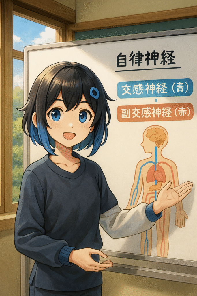 自律神経を説明するcortisちゃん