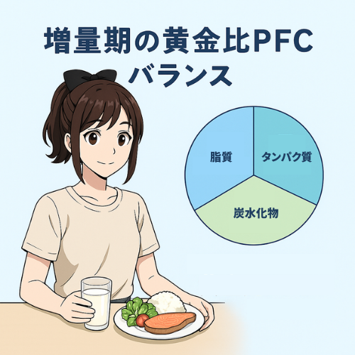 増量期の黄金比PFCバランスを示す円グラフ（たんぱく質・脂質・炭水化物のラベルのみ）