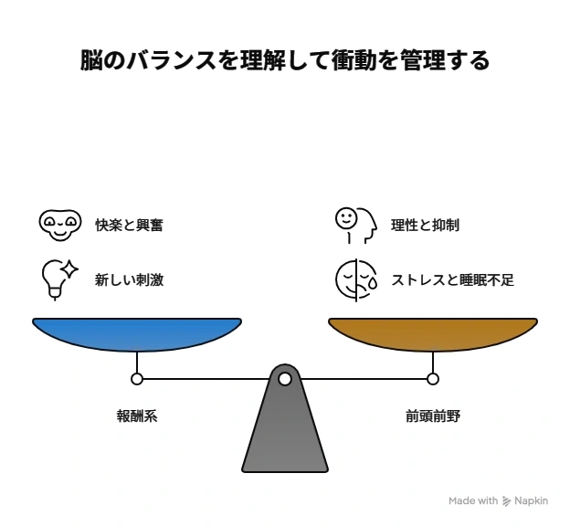 報酬系（アクセル）と前頭前野（ブレーキ）の関係を示す概念図